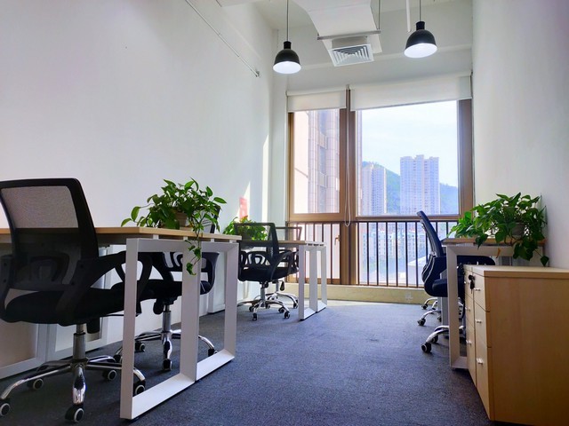 南海小学主持人表演哪里有